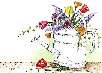 Suzie's watering can